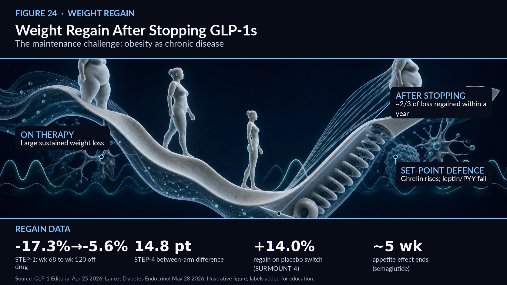 NEWSLETTER 24 Weight Regain After Stopping GLP-1s Why obesity pharmacotherapy is long-term, disease-modifying treatment   Figure 24. Weight Regain After Stopping GLP-1s — mechanism overview (illustrative; labels added for education). One of the most clinically important lessons of the GLP-1 era is what happens when treatment stops. In the STEP-1 extension (327 participants), the semaglutide arm’s weight change went from −17.3% at week 68 to −5.6% at week 120 after stopping—meaning patients regained about two-thirds of their prior weight loss within one year.1 Discontinuation, in other words, largely undoes the gains. Controlled comparisons make the effect unmistakable. In STEP-4, where 803 patients were randomised after a 20-week titration (mean −10.6%), continued semaglutide produced 7.9% additional loss while the placebo-switch arm regained 6.9%—a 14.8 percentage-point between-arm difference.1 In SURMOUNT-4, after 36 weeks of open-label tirzepatide (mean −20.9%), continued tirzepatide lost a further 5.5% while the placebo-switch arm regained 14.0% over 52 weeks.1 The rebound is not merely cosmetic. Cardiometabolic gains—waist circumference, blood pressure, HbA1c, and lipids—reverted in parallel with weight regain after discontinuation, erasing much of the organ-level benefit that motivated treatment.1 The mechanisms explain the speed and consistency of relapse. Appetite suppression ends within roughly four to five half-lives (about five weeks for semaglutide), and adaptive thermogenesis, rising ghrelin, and falling leptin and PYY actively defend a lower set point—biology, not willpower, drives the regain.1 The consistency across three separate trials—STEP-1, STEP-4, and SURMOUNT-4—is what makes the finding so robust: whenever the drug was withdrawn, weight and cardiometabolic markers moved back toward baseline, regardless of agent or starting point.1 This argues strongly against using GLP-1 therapy as a time-limited “kickstart.” Instead it should be planned, resourced, and consented to as ongoing treatment, with clinicians setting realistic expectations about duration and cost from the very first prescription.2 This maintenance challenge reframes how these drugs should be used. It underscores the 2026 guideline’s framing of obesity pharmacotherapy as long-term, disease-modifying therapy rather than a short course—analogous to antihypertensives, which are not stopped once blood pressure normalises.2 For clinicians and patients in India navigating cost and access, this evidence is essential for setting expectations: planning for sustained therapy, budgeting accordingly, and avoiding the disappointment and health reversal that follow abrupt discontinuation.3 References 1. Weight Regain After Stopping Semaglutide or Tirzepatide: STEP-1 Extension and STEP-4 Data, GLP-1 Editorial, April 25, 2026. https://glponeeditorial.com/clinical/glp1-rebound-weight-regain 2. Beyond weight loss: multisystem benefits of obesity medications, Lancet Diabetes Endocrinol, May 28, 2026 (PMID 42208956). https://pubmed.ncbi.nlm.nih.gov/42208956/ 3. New guideline reframes weight as health risk, AHA Newsroom, June 9, 2026. https://newsroom.heart.org/news/new-guideline-reframes-weight-as-health-risk-tied-to-diabetes-kidney-and-heart-conditions 4. Incretin-Based Therapies Through the Decades, Med Sci (PMC), Nov 14, 2025. https://pmc.ncbi.nlm.nih.gov/articles/PMC12641833/ 5. What the GLP-1 Pipeline Showed at ADA 2026, PeptidePrices, June 9, 2026. https://peptideprices.net/blog/ada-2026-glp1-pipeline-roundup 6. 2026 CKM Guideline — Top Things to Know, professional.heart.org, June 9, 2026. https://professional.heart.org/en/science-news/2026-guideline-for-the-prevention-detection-evaluation-and-management-of-ckm-syndrome/top-things-to-know